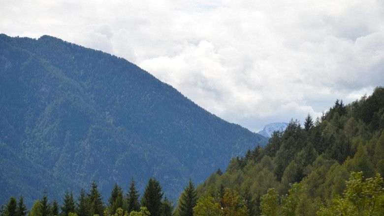 Verse of the Day | Dec 11