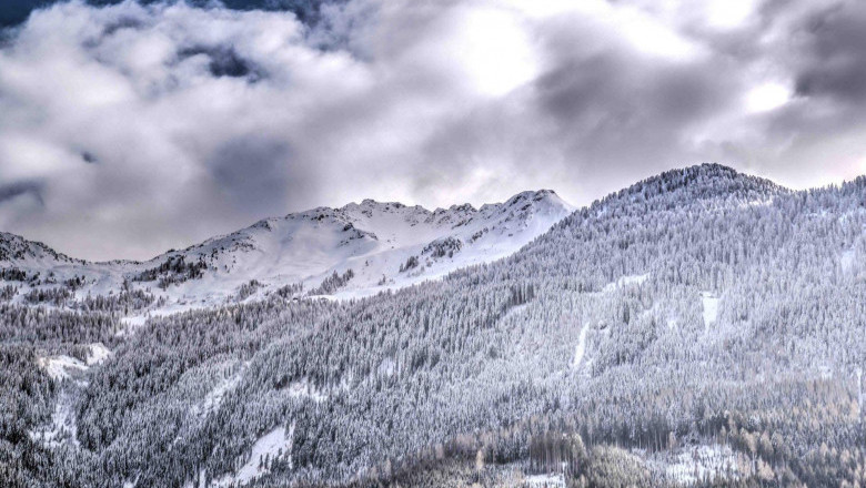 Verse of the Day | Dec 12