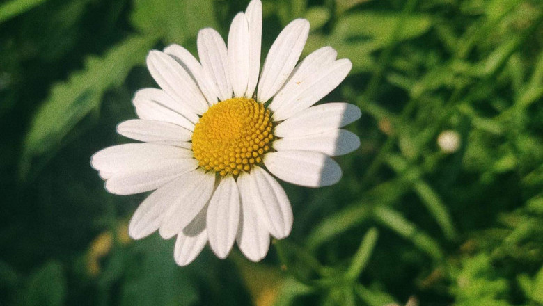 Verse of the Day | Dec 14