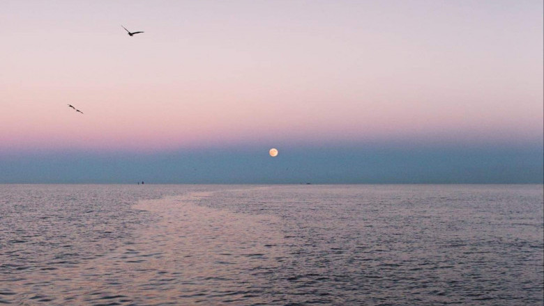 Verse of the Day | Dec 18