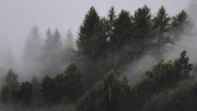 Verse of the Day | Dec 22