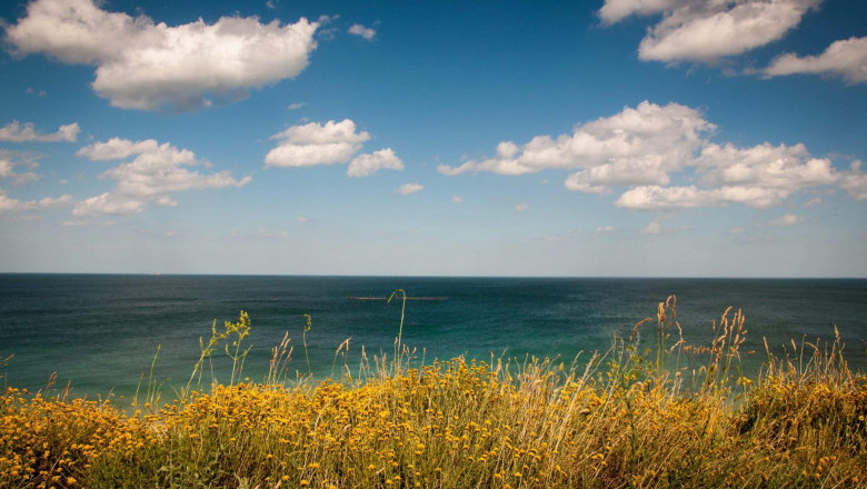 Verse of the Day | Dec 26