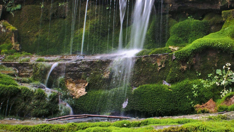 Verse of the Day | Jan 4