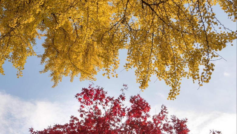 Verse of the Day | Jan 9