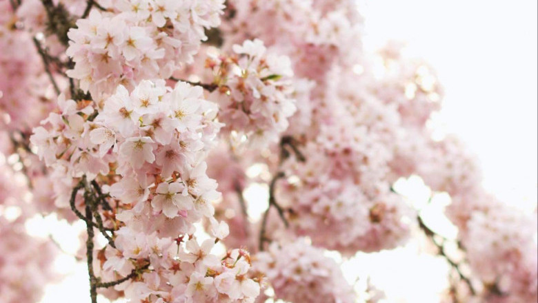 Verse of the Day | Feb 6