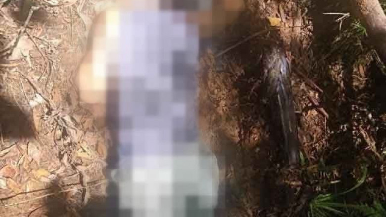 NPA rebel killed, high-powered firearms seized in MisOr