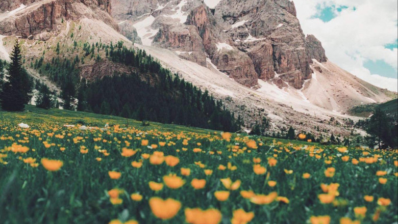 Verse of the Day | Feb 21