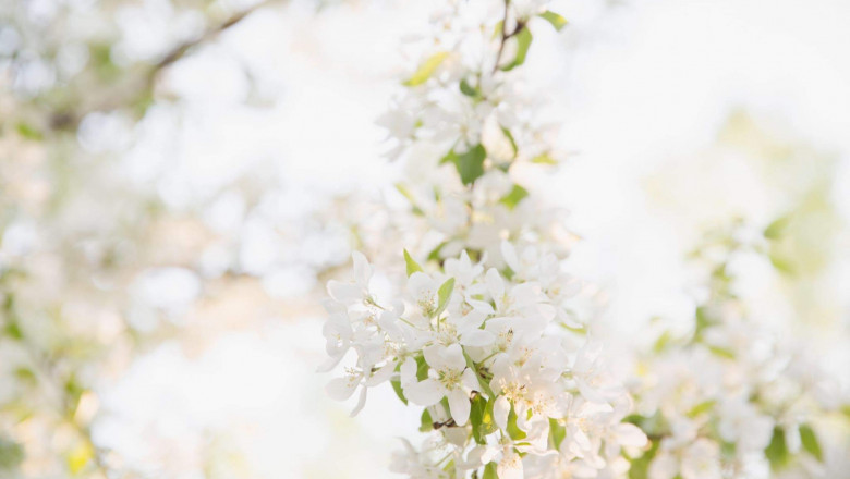 Verse of the Day | Feb 23