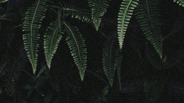 Verse of the Day | Feb 26