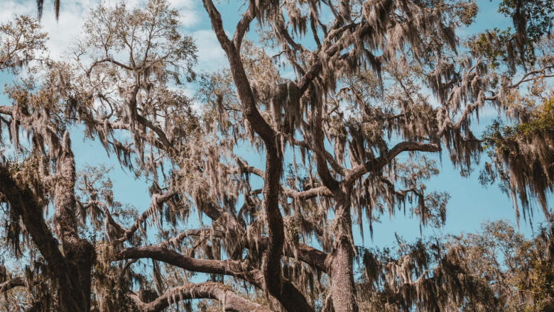 Verse of the Day | March 4