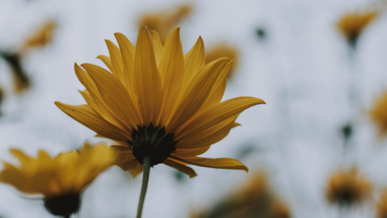 Verse of the Day | March 5