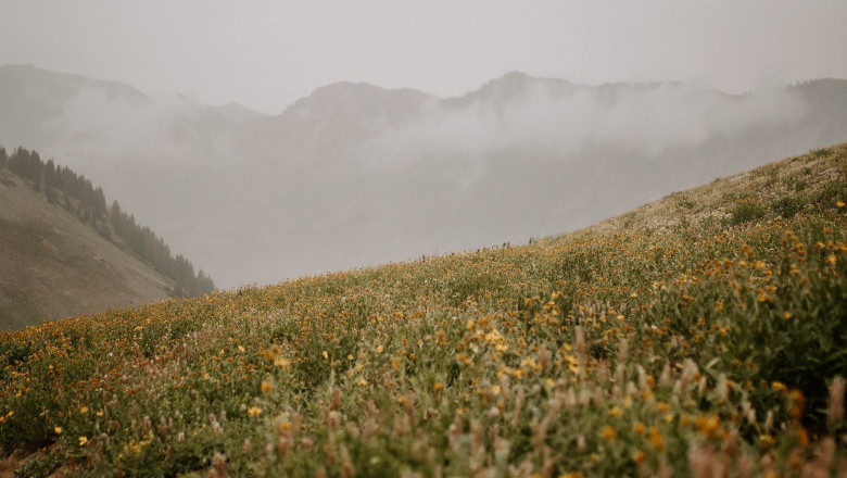 Verse of the Day | March 6