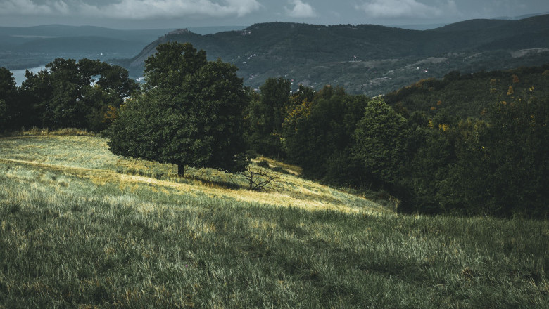 Verse of the Day | March 8