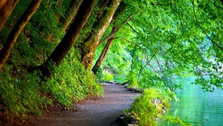 Verse of the Day | April 2