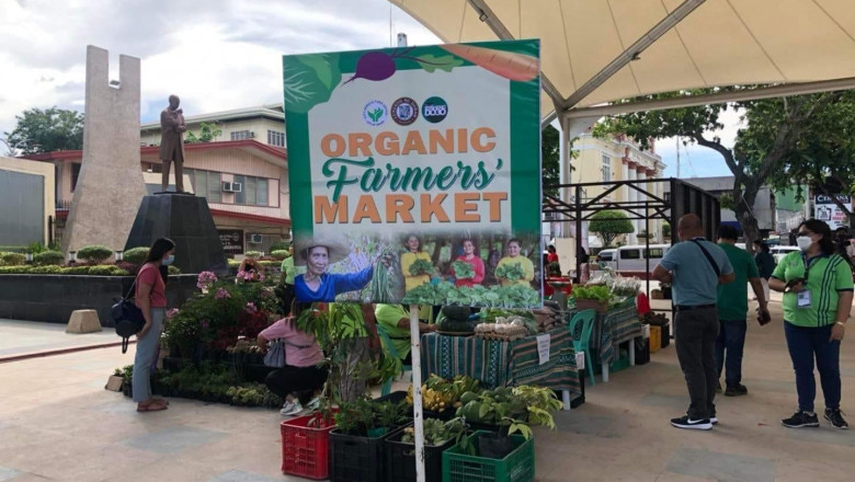 City reopens Organic Farmers Market
