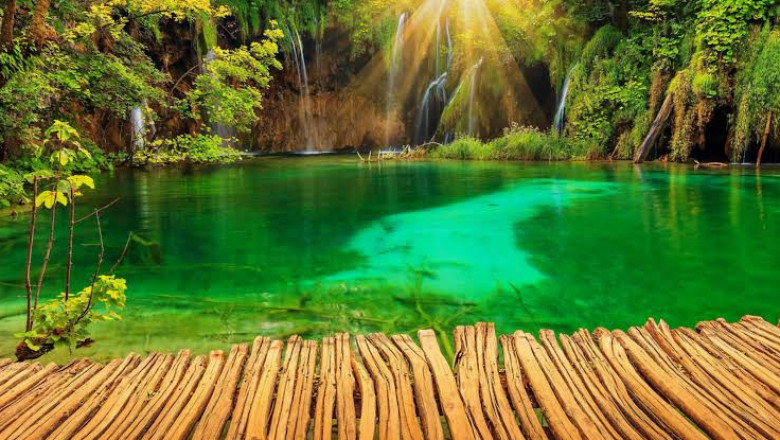 Verse of the Day | April 11