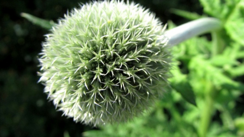 Verse of the Day | April 13