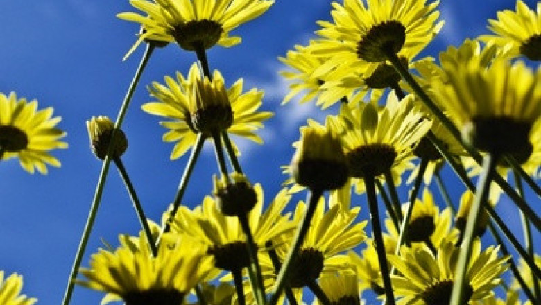 Verse of the Day | April 14