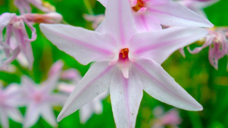 Verse of the Day | April 18