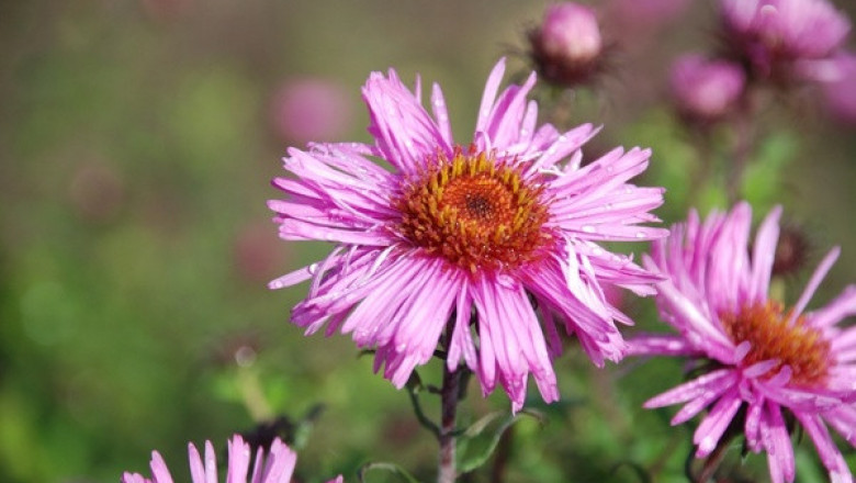 Verse of the Day | April 20