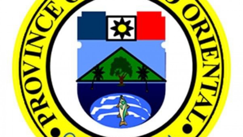 Task Force formed to expedite probe on Davao Oriental village chief's murder