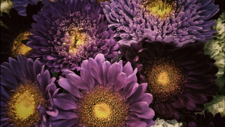 Verse of the Day | April 24