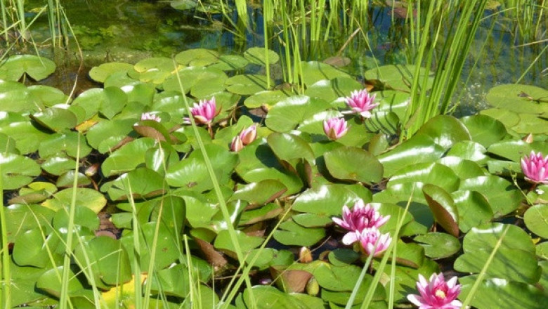 Verse of the Day | April 25