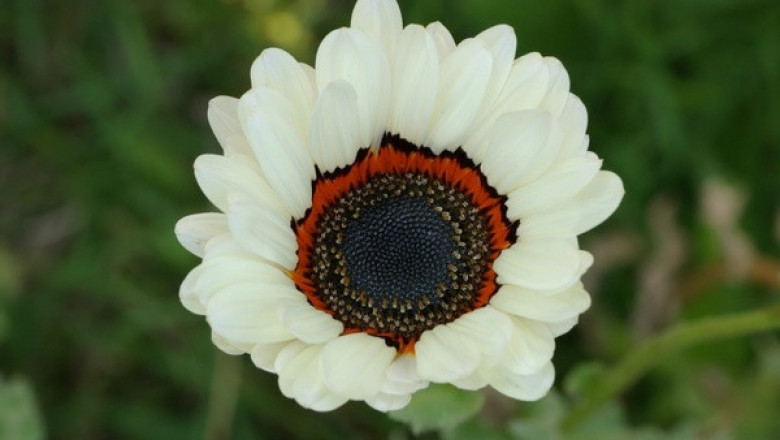 Verse of the Day | April 26