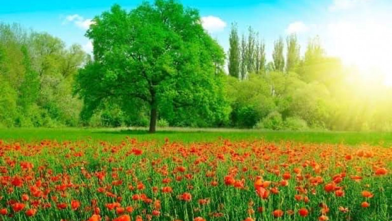 Verse of the Day | April 30