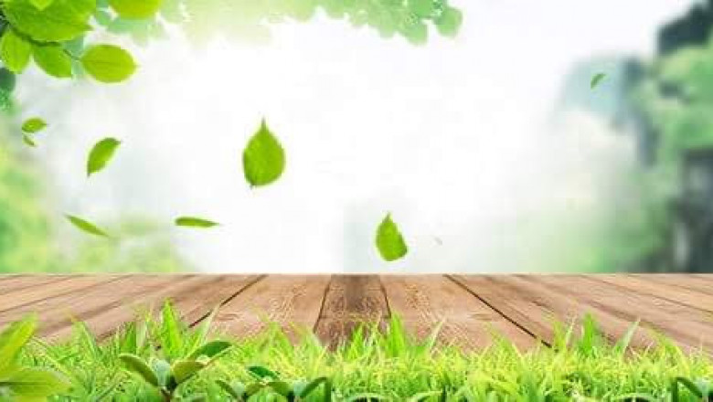 Verse of the Day | May 1