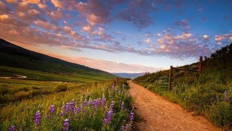 Verse of the Day | May 2