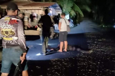 Lawless armed group member killed, 2 cops wounded in Davao del Sur town encounter