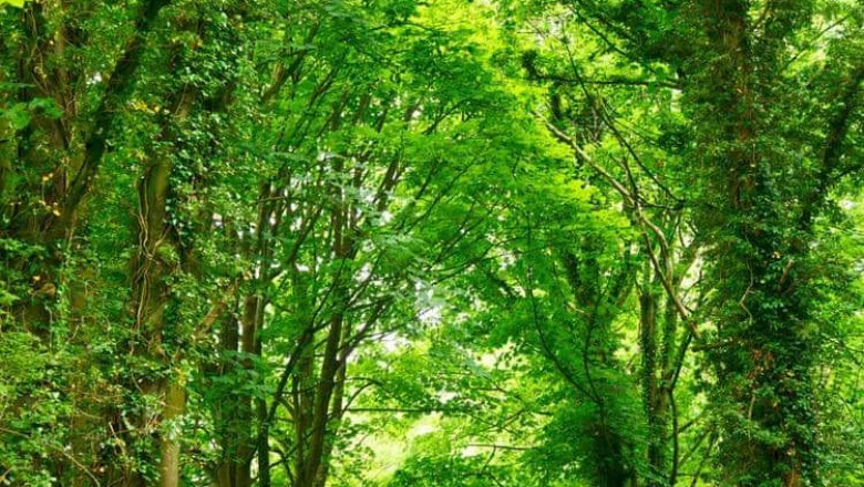 Verse of the Day | May 7