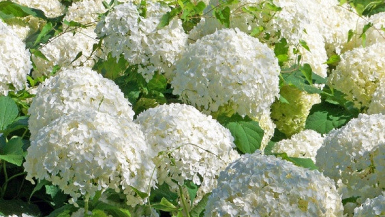 Verse of the Day | May 10