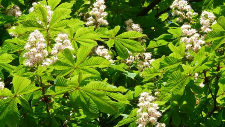 Verse of the Day | May 11