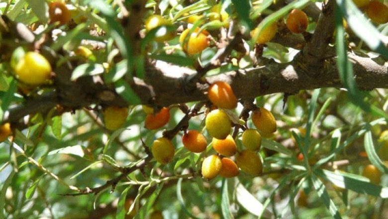 Verse of the Day | May 13