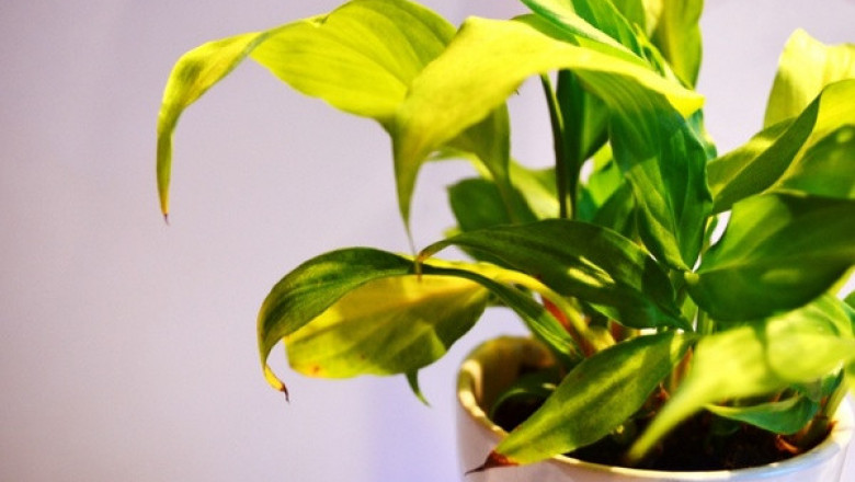 Verse of the Day | May 14