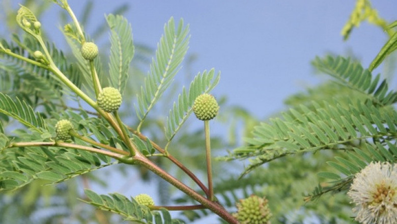 Verse of the Day | May 15