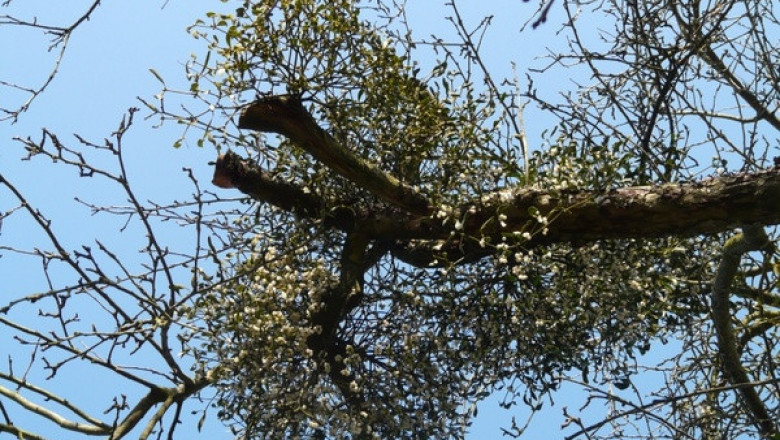 Verse of the Day | May 16