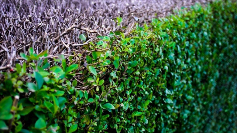 Verse of the Day | May 17