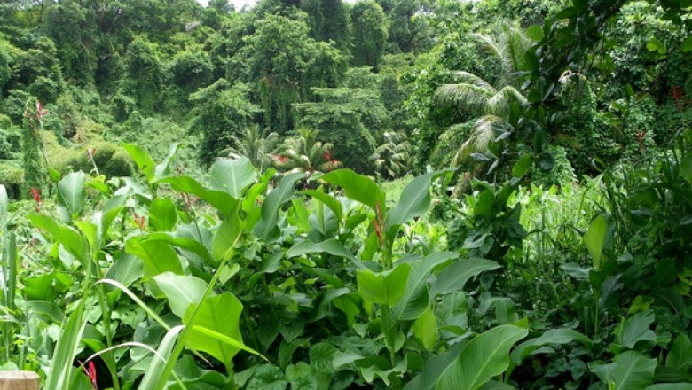 Verse of the Day | May 18