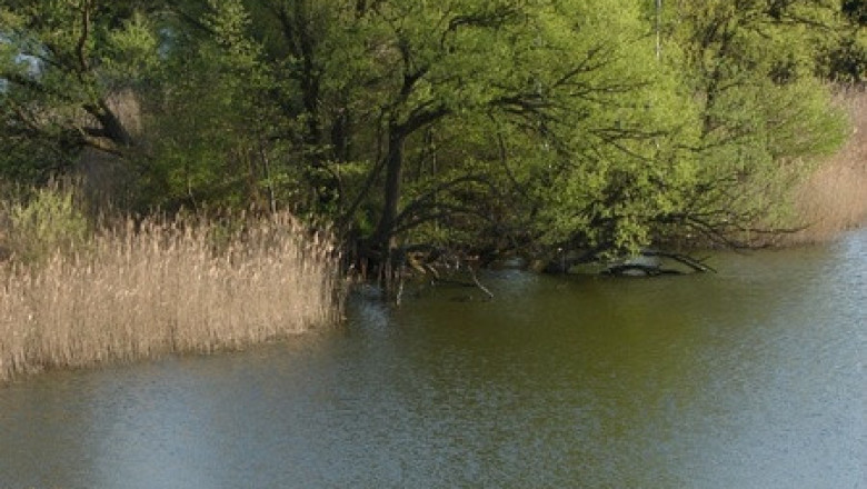 Verse of the Day | May 20