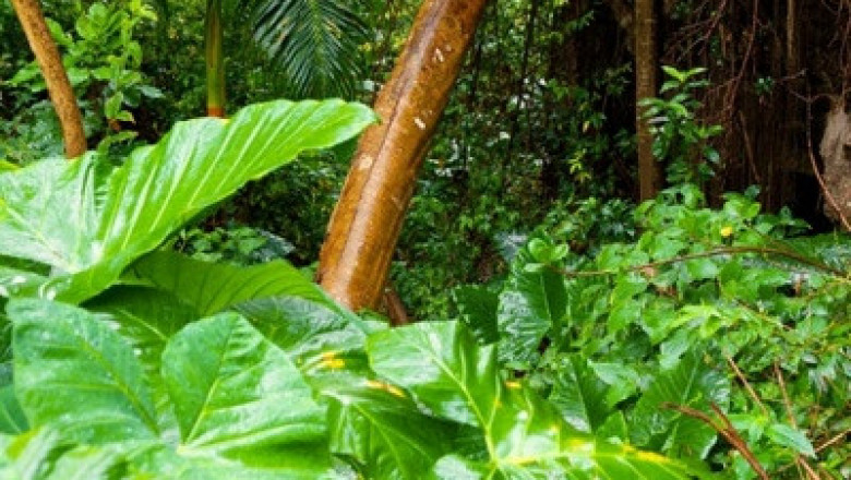 Verse of the Day | May 27