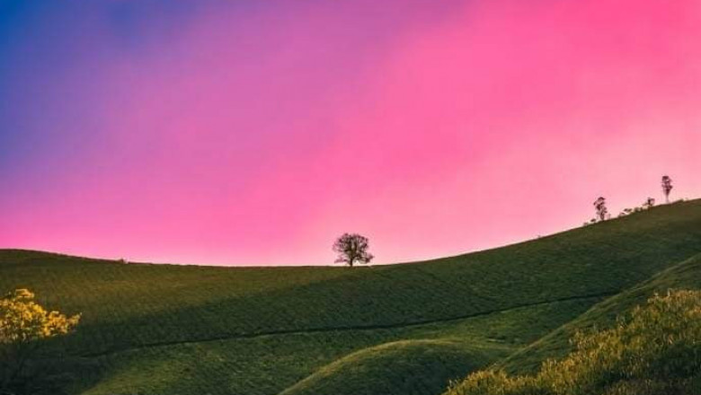 Verse of the Day |  May 31