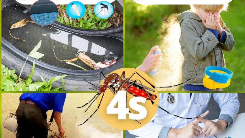 Davao City steps up drive vs dengue