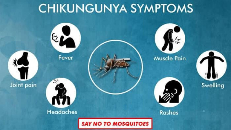Signs of  Chikungunya virus seen in 2 Davao City barangays