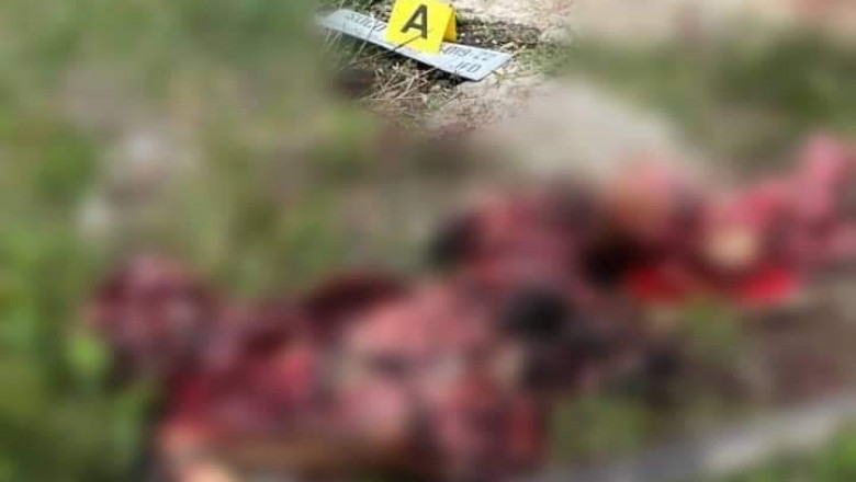 7-anyos nga bata, patay, igsoon samdan  sa granadang mibusikad sa Davao del Sur