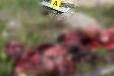 7-anyos nga bata, patay, igsoon samdan  sa granadang mibusikad sa Davao del Sur