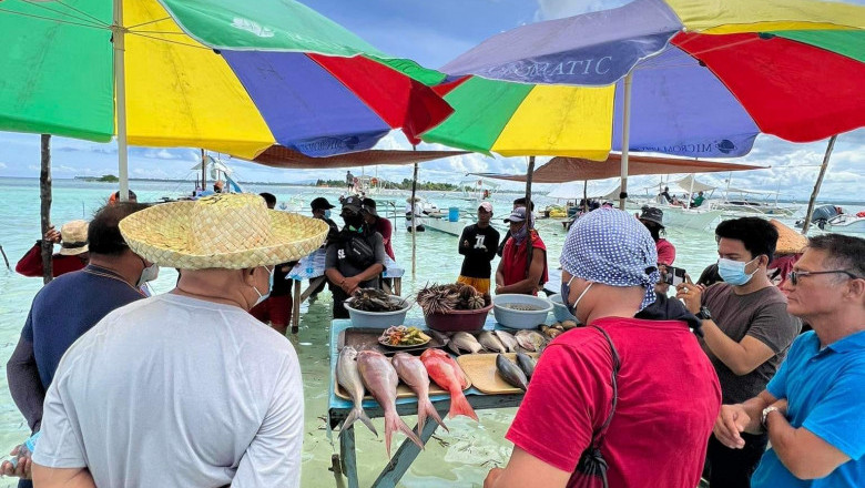 Virgin Island food vending and tourism activities suspended