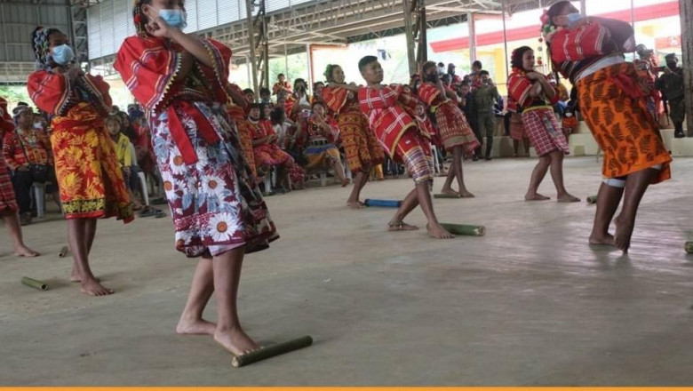 Legarda renews call for stronger support for IPs
